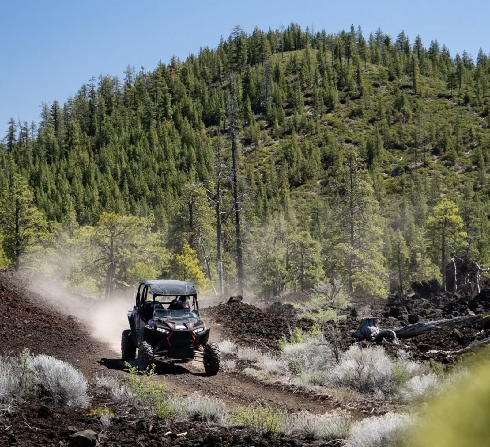 Side-by-side ATV kicking up dust on a forest trail near Sisters